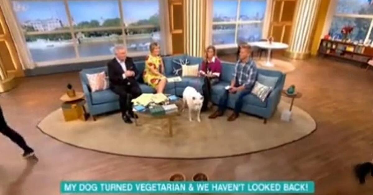 Kobieta wmawiała że jej pies jest wegetarianinem. Pokazali jej jak bardzo się myli