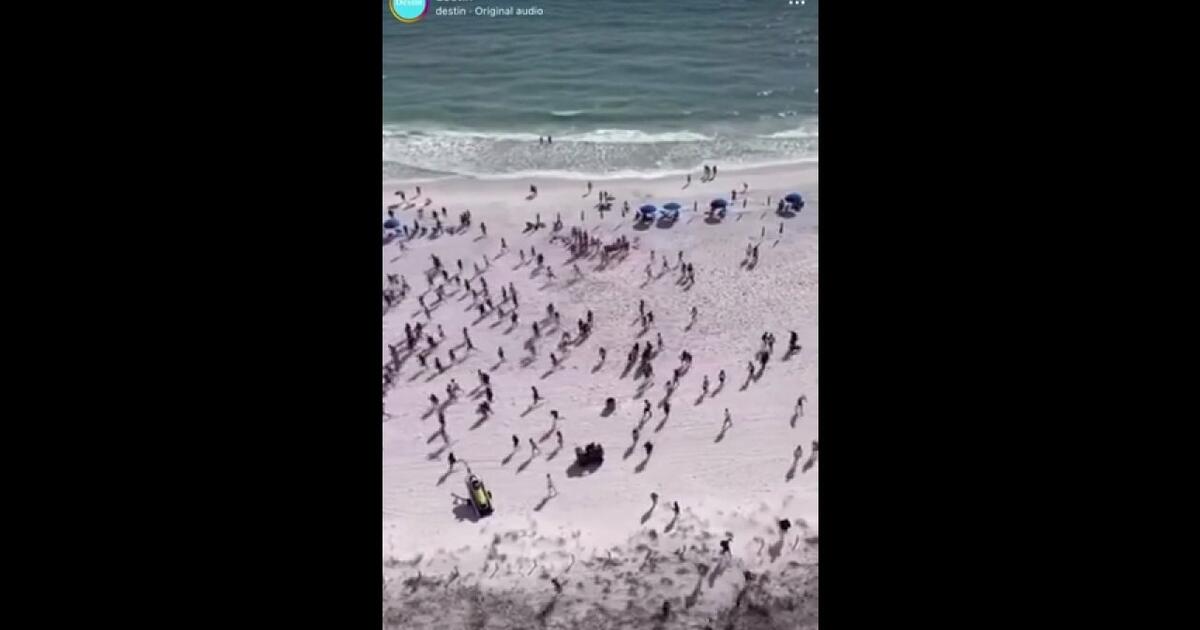 Policja z psem narkotykowym pojawiła się na plaży we Florydzie. Ludzie rzucili się do ucieczki