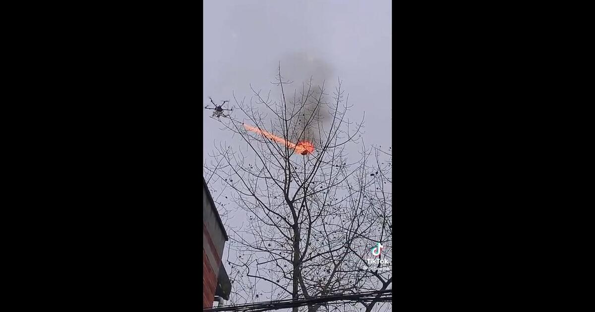Dron z miotaczem ognia niszczy gniazdo szerszeni