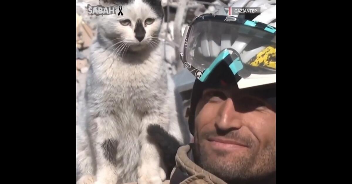 Kot uratowany z zawalonego domu w Turcji. Nie opuszcza ratowników na krok