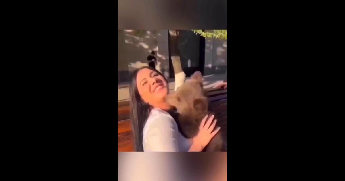 Bezmyślna kobieta wzięła na ręce małego niedźwiadka. Została ugryziona w twarz