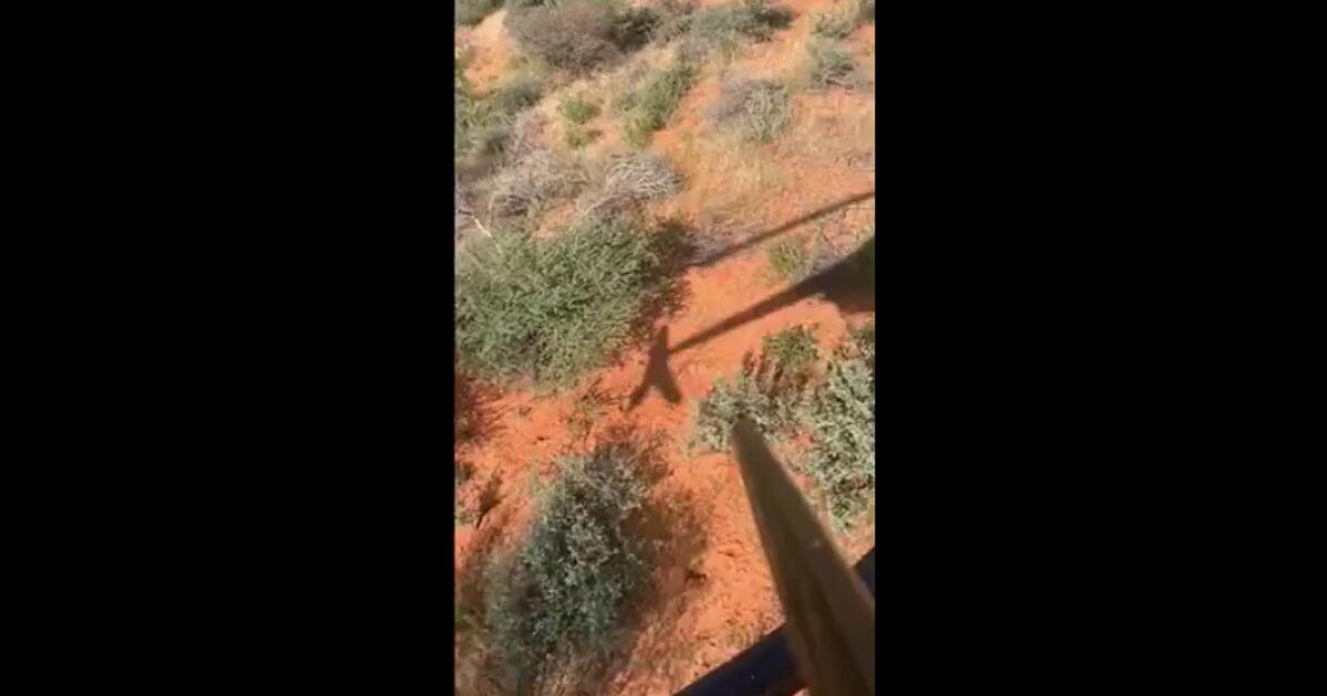 Mężczyzna wypadł z helikoptera podczas polowania na safari
