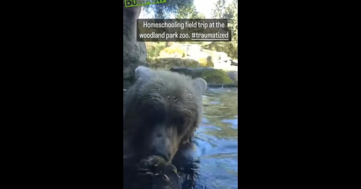 Niedźwiedź zjadł kaczkę na oczach dzieci będących na szkolnej wycieczce w zoo