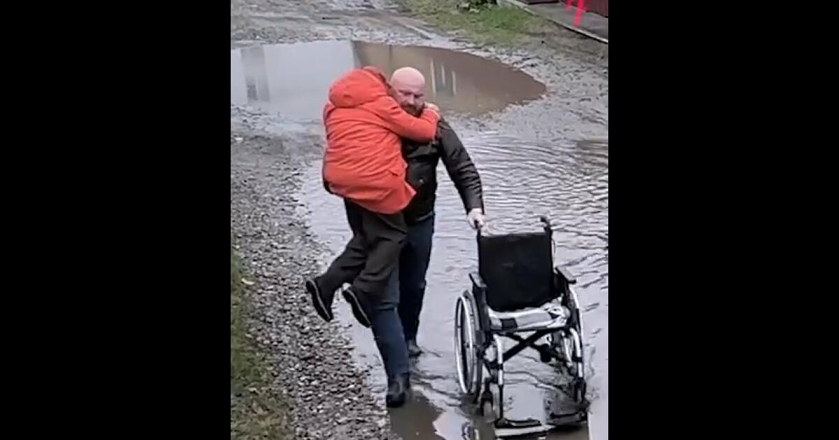 Życzliwy byczek pomógł starszej kobiecie na wózku inwalidzkim
