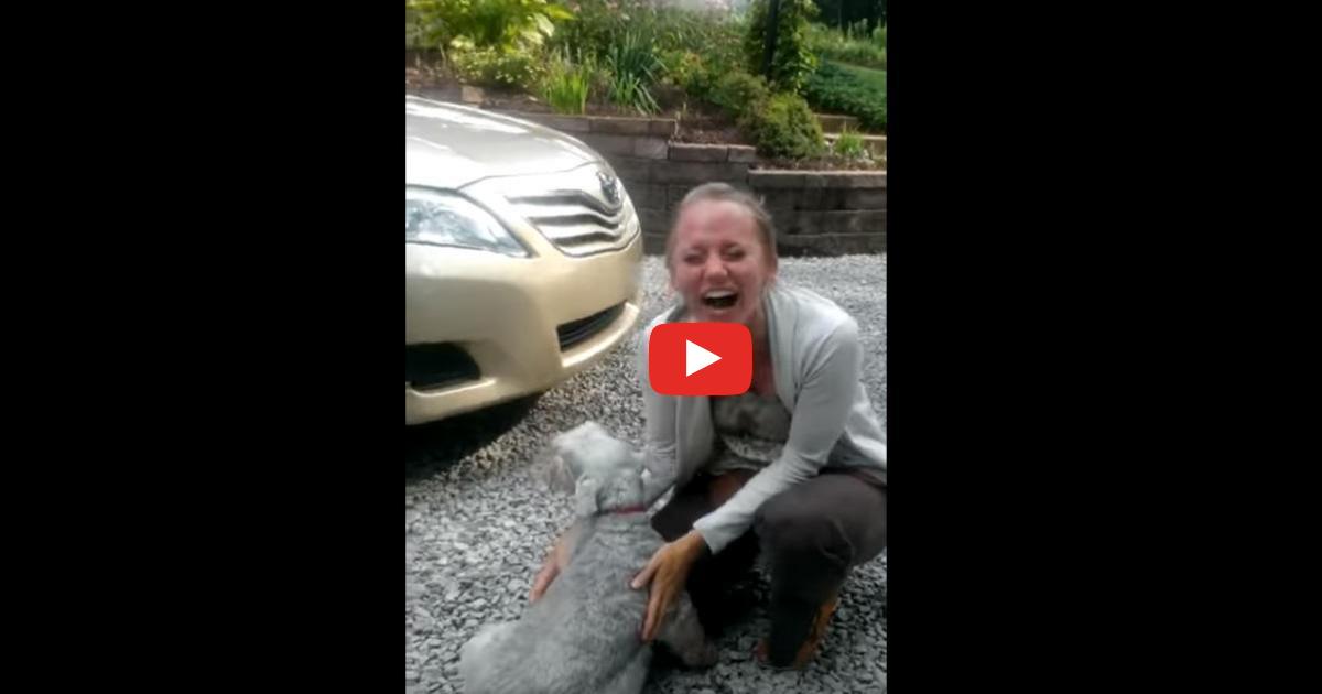 Pies zobaczył swoją właścicielkę po 2 latach rozłąki. Z emocji zwierzak traci przytomność
