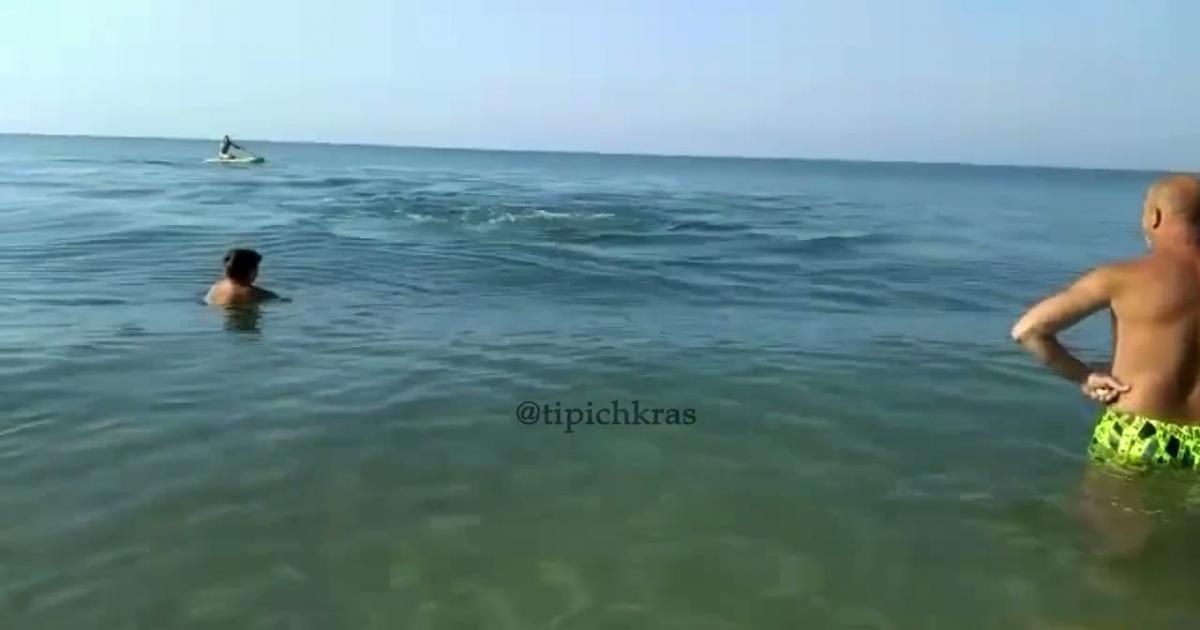Delfin celnie rzuca rybą w turystę na wybrzeżu Morza Czarnego