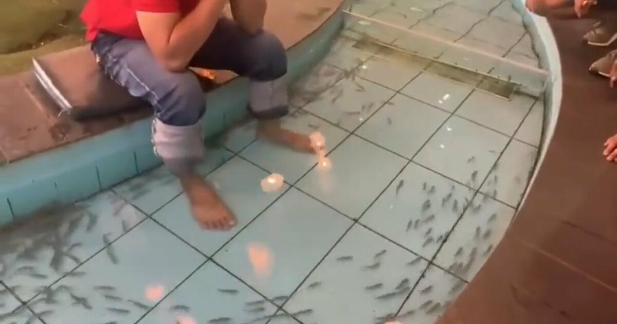Facet po robocie poszedł do rybnego SPA, ale ryby omijały jego stopy